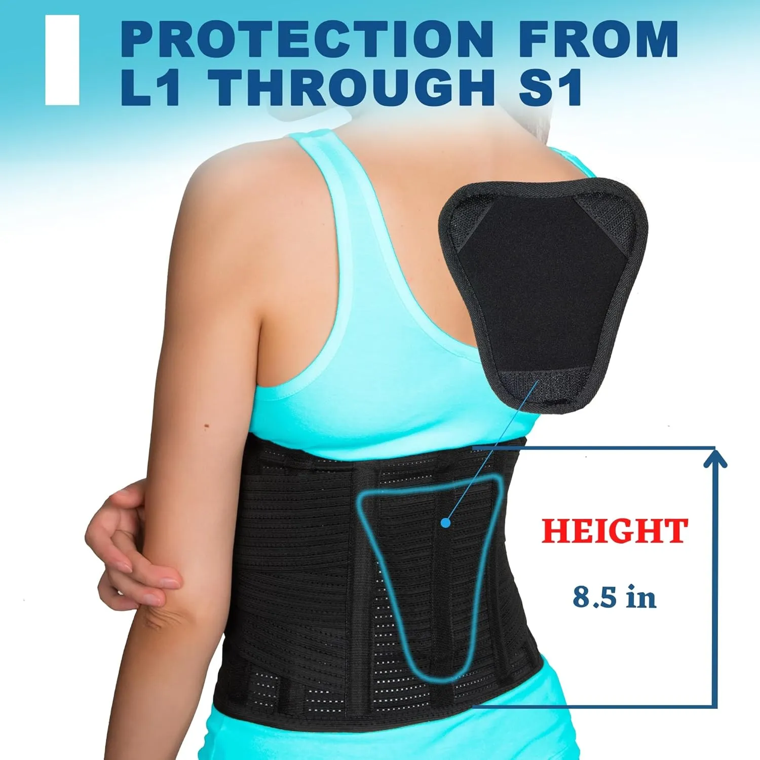 AVESTON Back Brace for Lower Back Pain Relief 6 ribs Belt with Lumbar Pad Support for Men/Women Light Thin Orthopedic Rigid Adjustable Brace Herniated Disc - Circumference 37  45" Around Belly