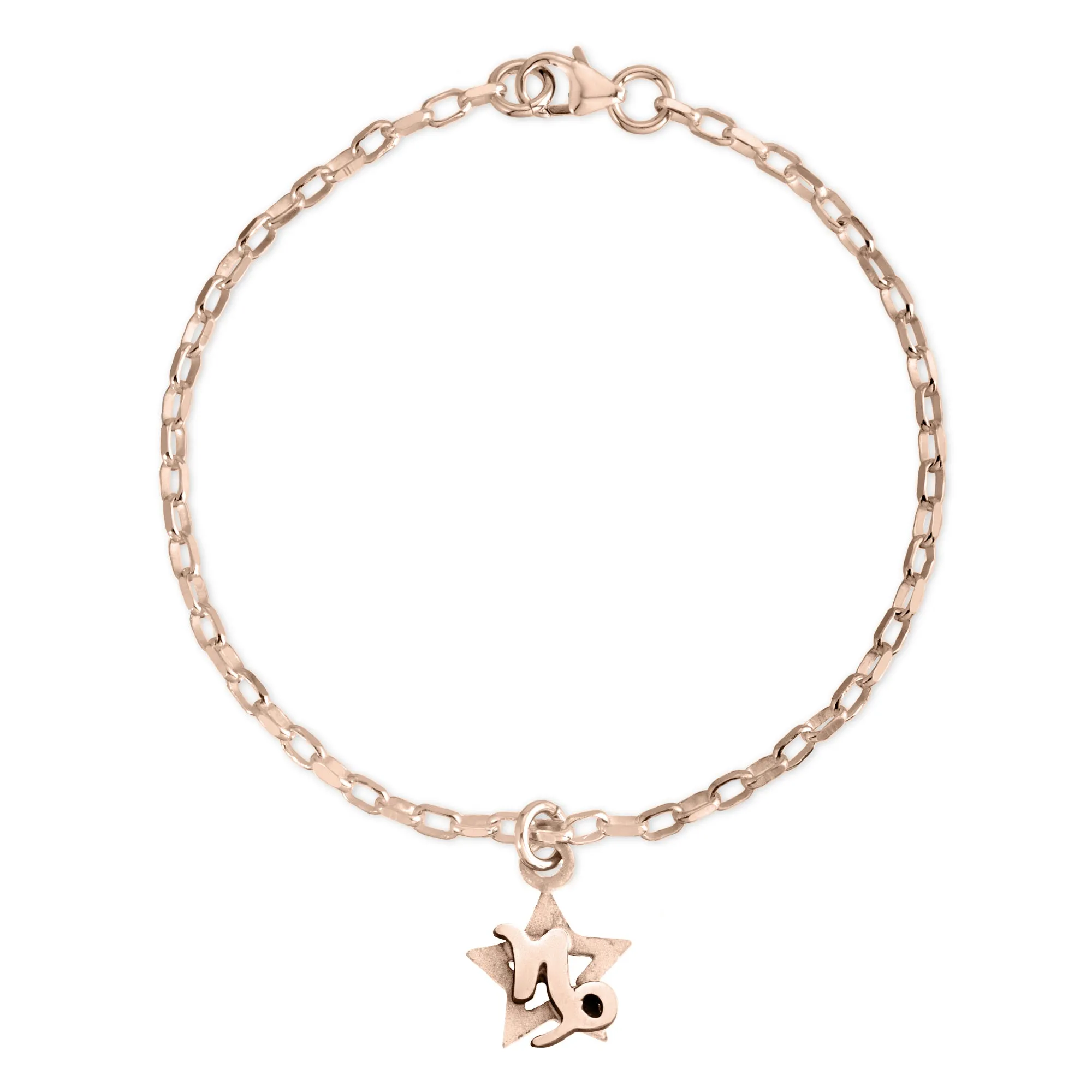 Capricorn Charm Bracelet