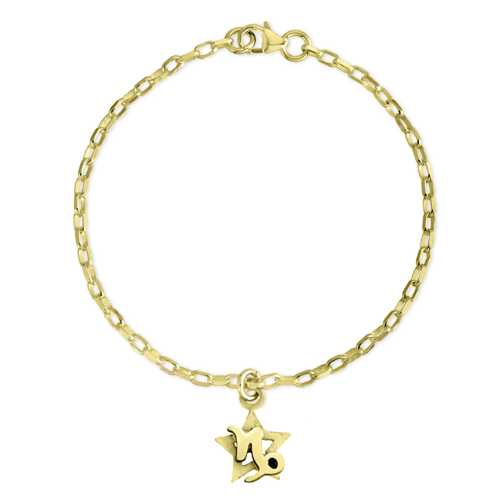 Capricorn Charm Bracelet