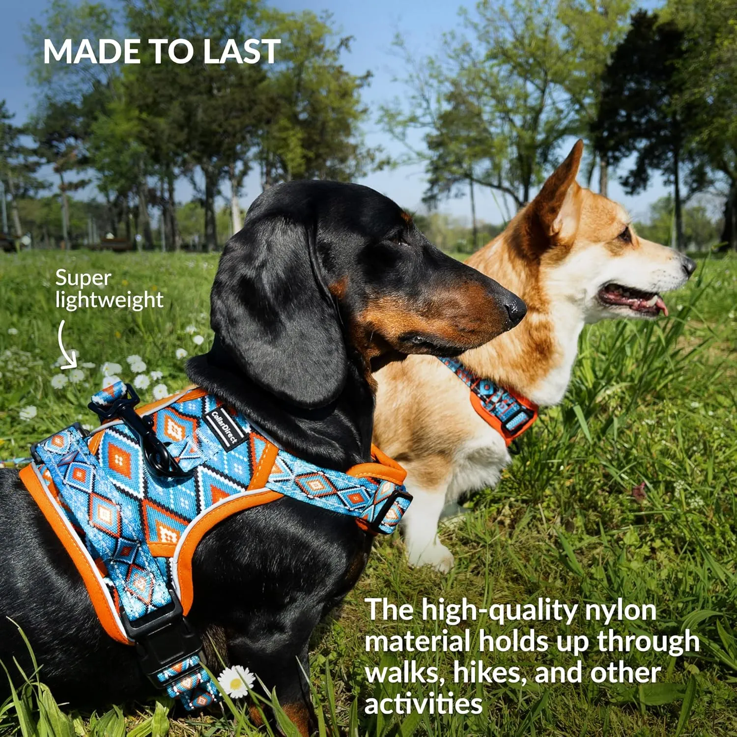 CollarDirect No Pull Reflective Dog Harness with Handle and Front Clip, Adjustible Soft Padded Vest for Small to Large Dogs Training and Walk (Size XL, Pattern PT3)